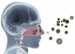 Allergic Rhinitis Symptoms – Sneezing And Seasonal Trigger Signs